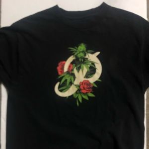 Primitive green plant with a rose